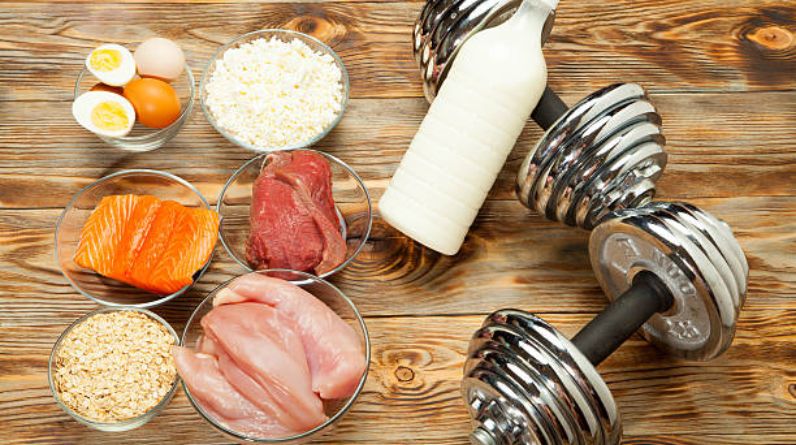 best protein for lean muscle growth